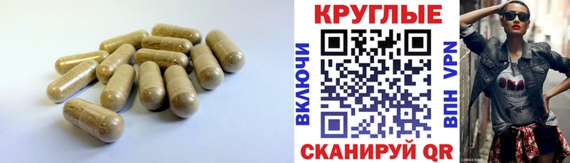 Ecstasy диски Луга