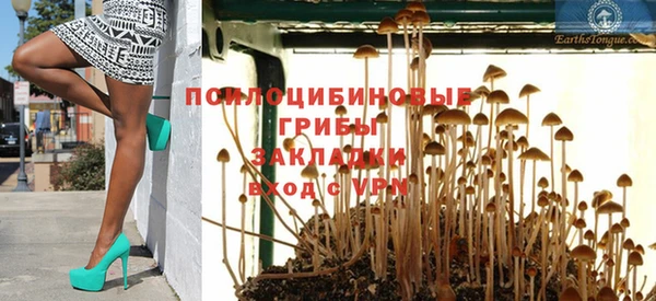 круглые Алзамай