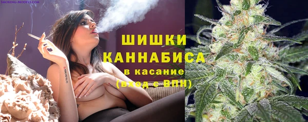 PSILOCYBIN Алексеевка
