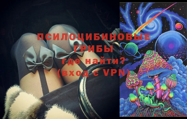 PSILOCYBIN Алексеевка