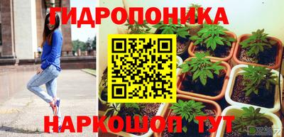 мдпв Камышлов