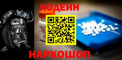мдпв Камышлов