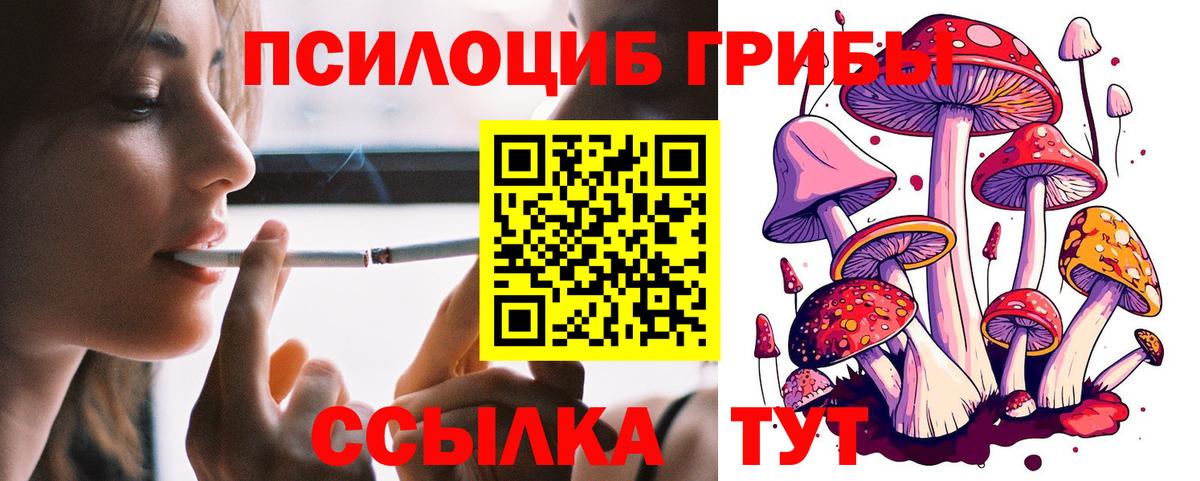 Псилоцибиновые грибы Cubensis Луга