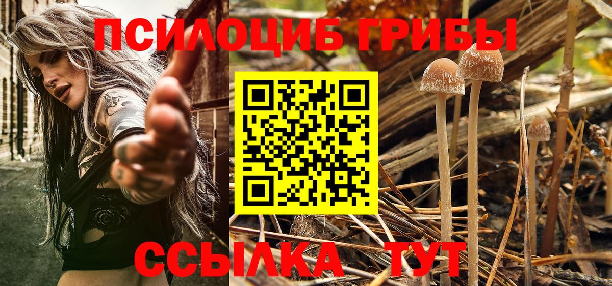 Галлюциногенные грибы мухоморы  Вход с VPN  купить   Луга  Псилоцибиновые грибы Magic Shrooms 